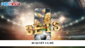 Bí Quyết Cá Độ - Trọn Bộ Bí Quyết Cá Độ Từ A đến Z 2025