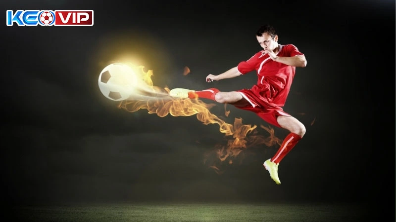 Cung cấp các phân tích chuyên sâu