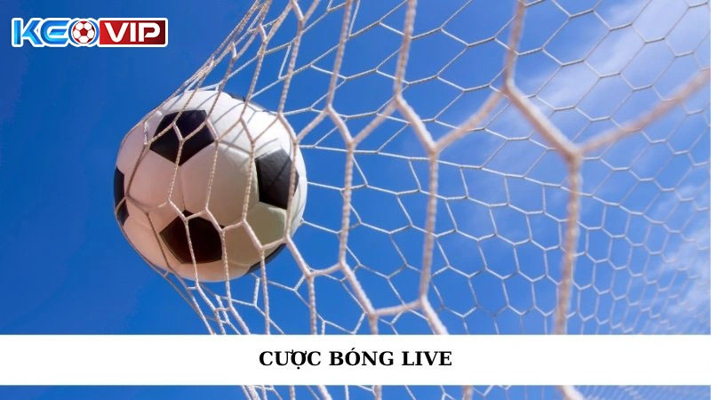 Cược Bóng Live - Hướng Dẫn Chi Tiết Và Chiến Lược Hiệu Quả