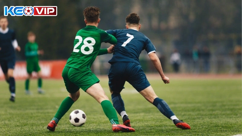 Phân tích được các biến động kèo