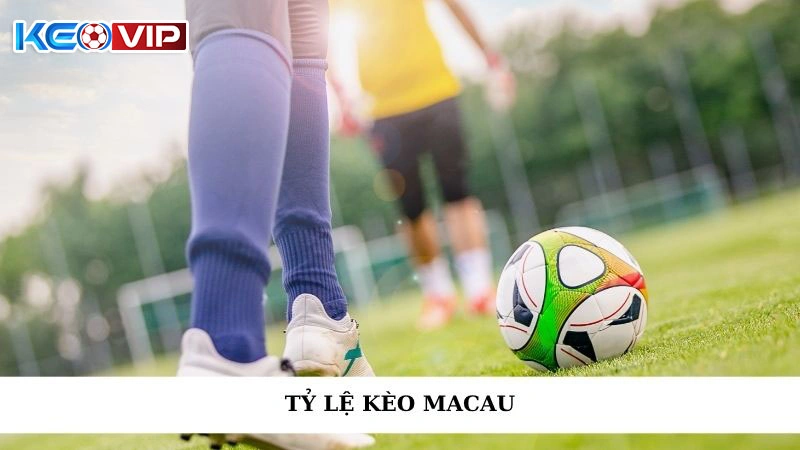 Tỷ Lệ Kèo Macau - Nâng Tầm Đặt Cược, Cơ Hội Thắng Lớn